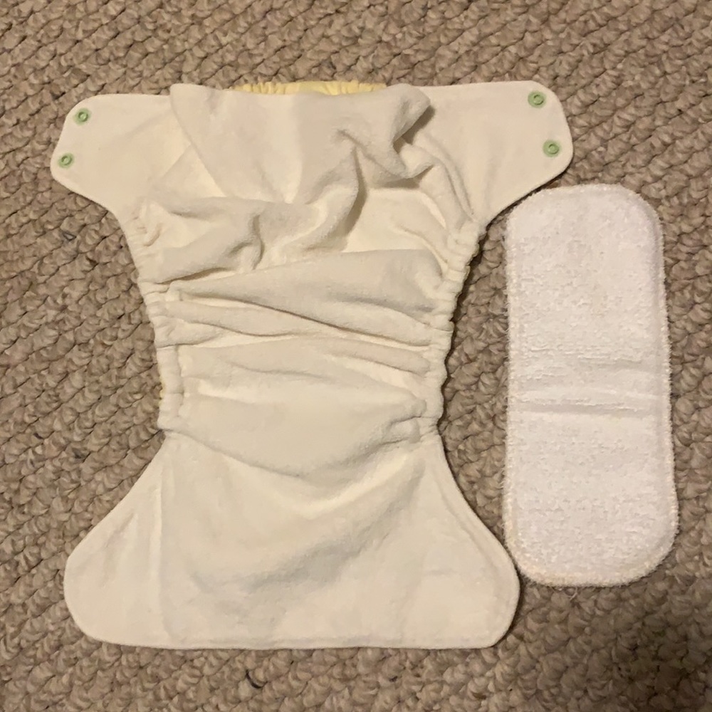 Lot of 11 Cloth Diapers - Thirsties, Swaddlebees, Totbots & Rumparooz - Picture 16 of 16